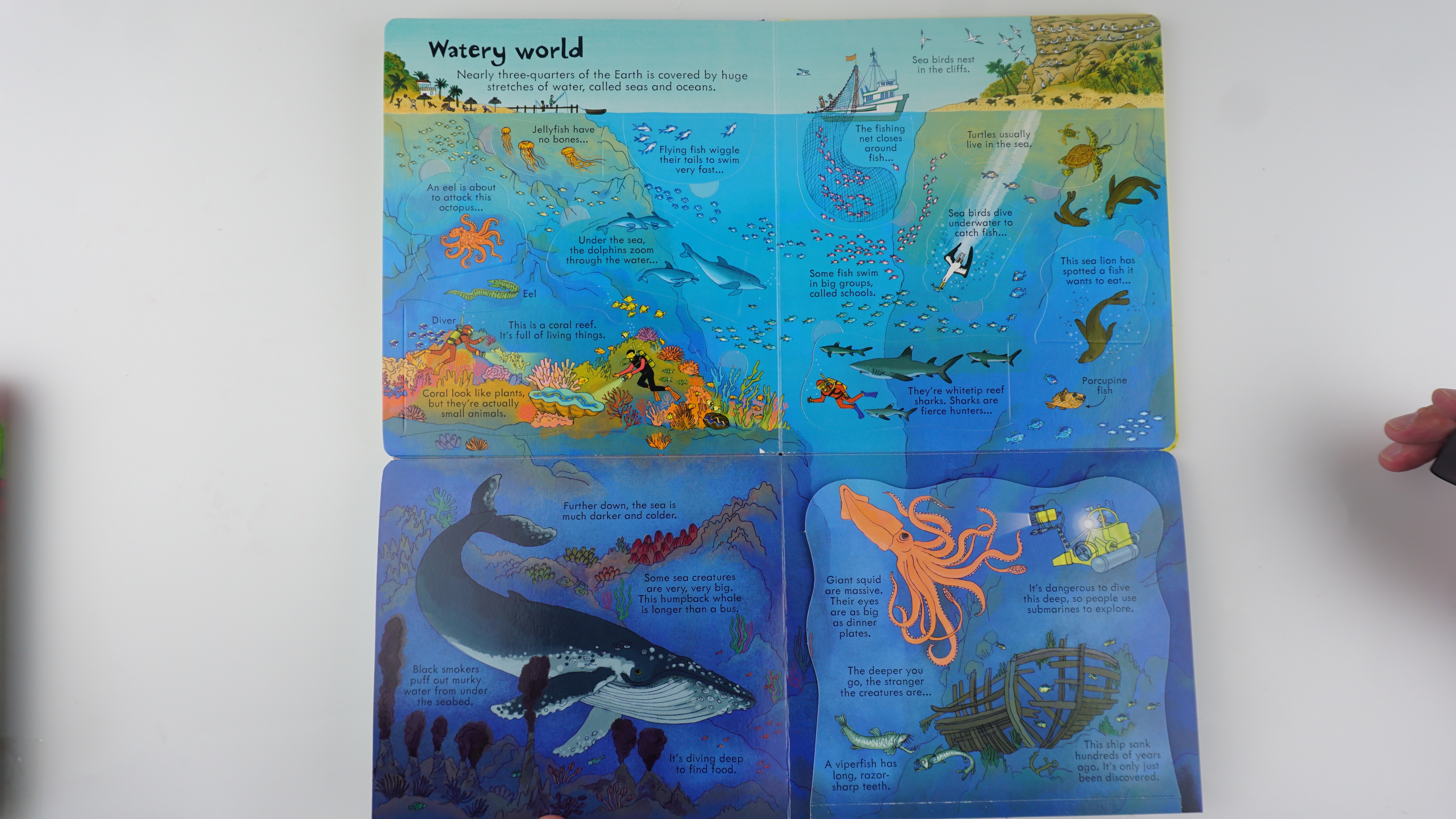 Look Inside Our World