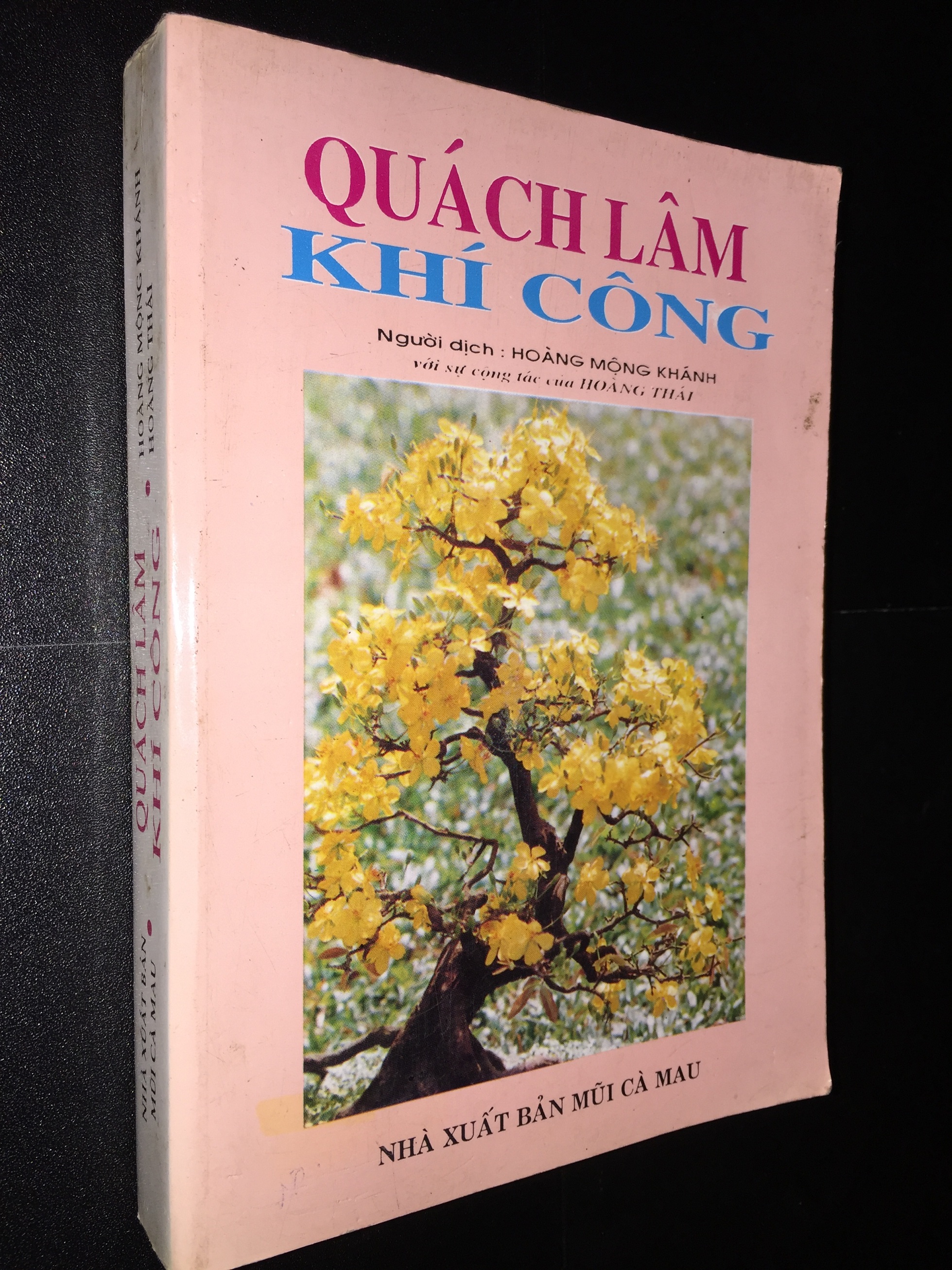 Sách Quách Lâm Khí Công – Hoàng Mộng Khánh & Hoàng Thái