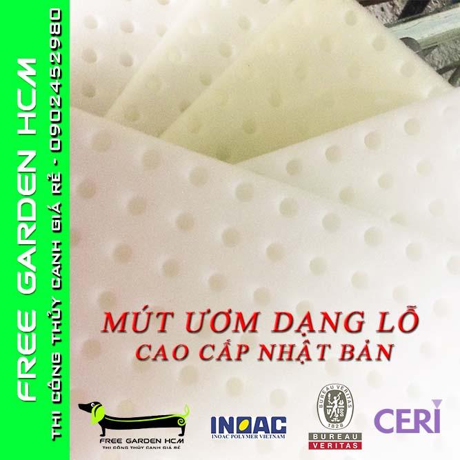 COMBO 480 VIÊN MÚT XỐP ƯƠM HẠT CAO CẤP NHẬT BẢN KHOÉT LỖ