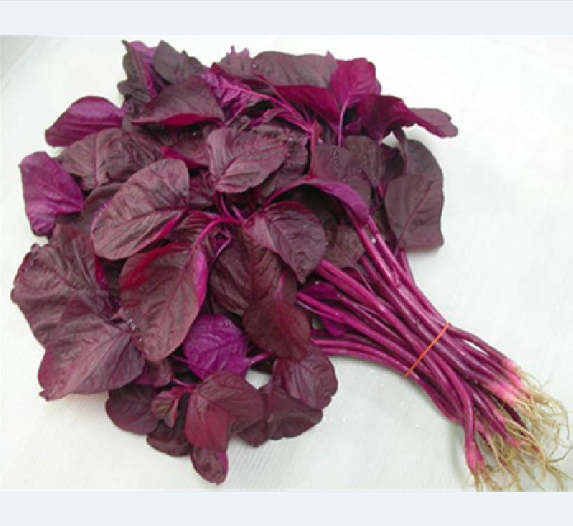 Hạt giống rau dền đỏ /gói 20 gram-nãy mầm 90%