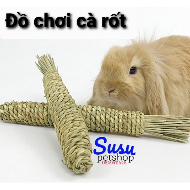 Đồ chơi gặm nhắm cà rốt cho Thỏ, Bọ, Chinchilla
