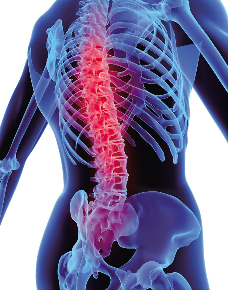 MÁY TRỊ LIỆU TẦN SỐ SIÊU ÂM DR ULTRA AUKEWEL