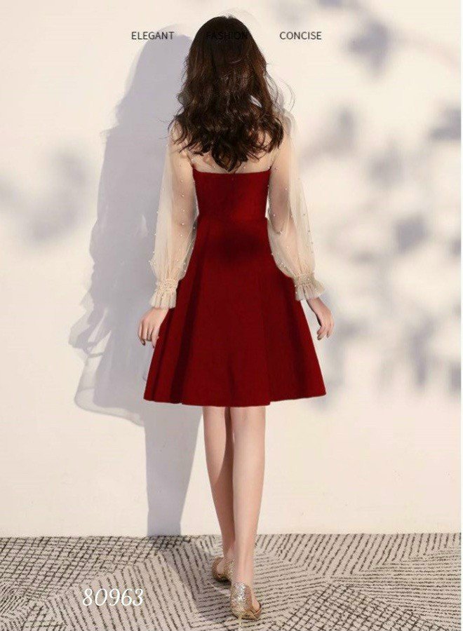 Đầm xòe tay dài phối lưới - HN