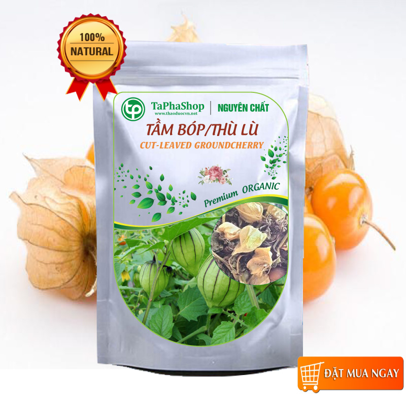 Cây tầm bóp khô 500g - tấn phát