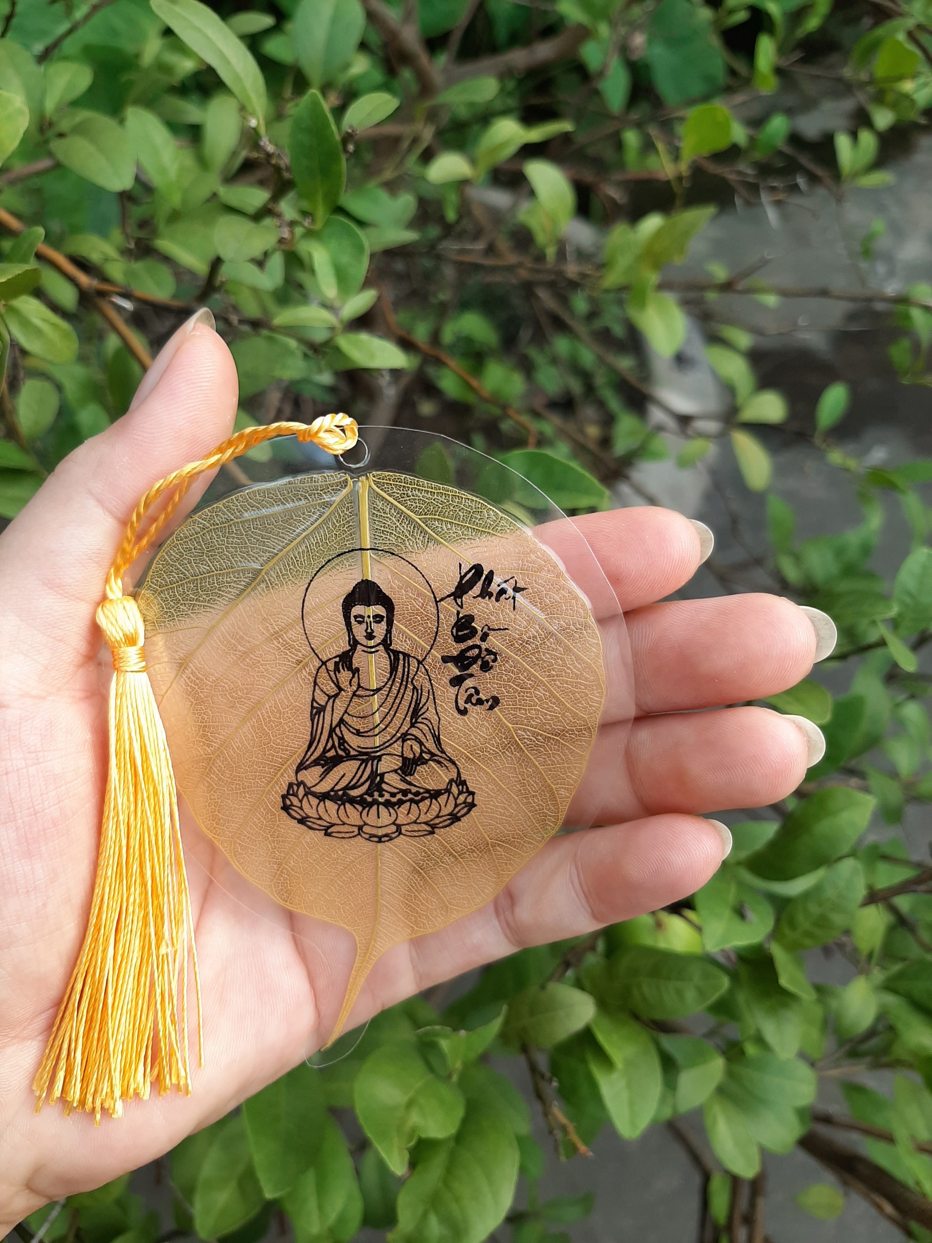 Lá bồ đề to treo xe