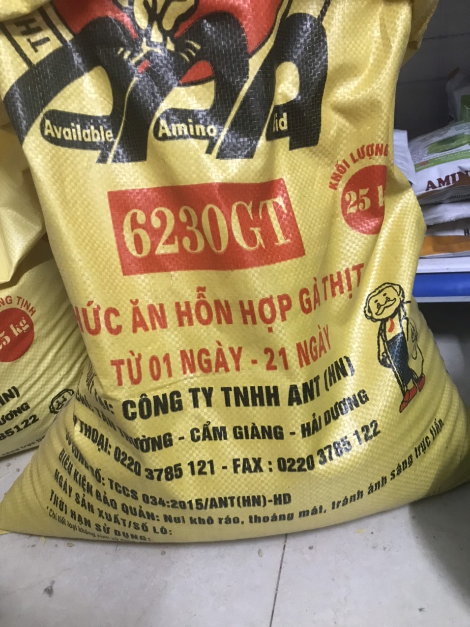 Cám mảnh, cám gà con