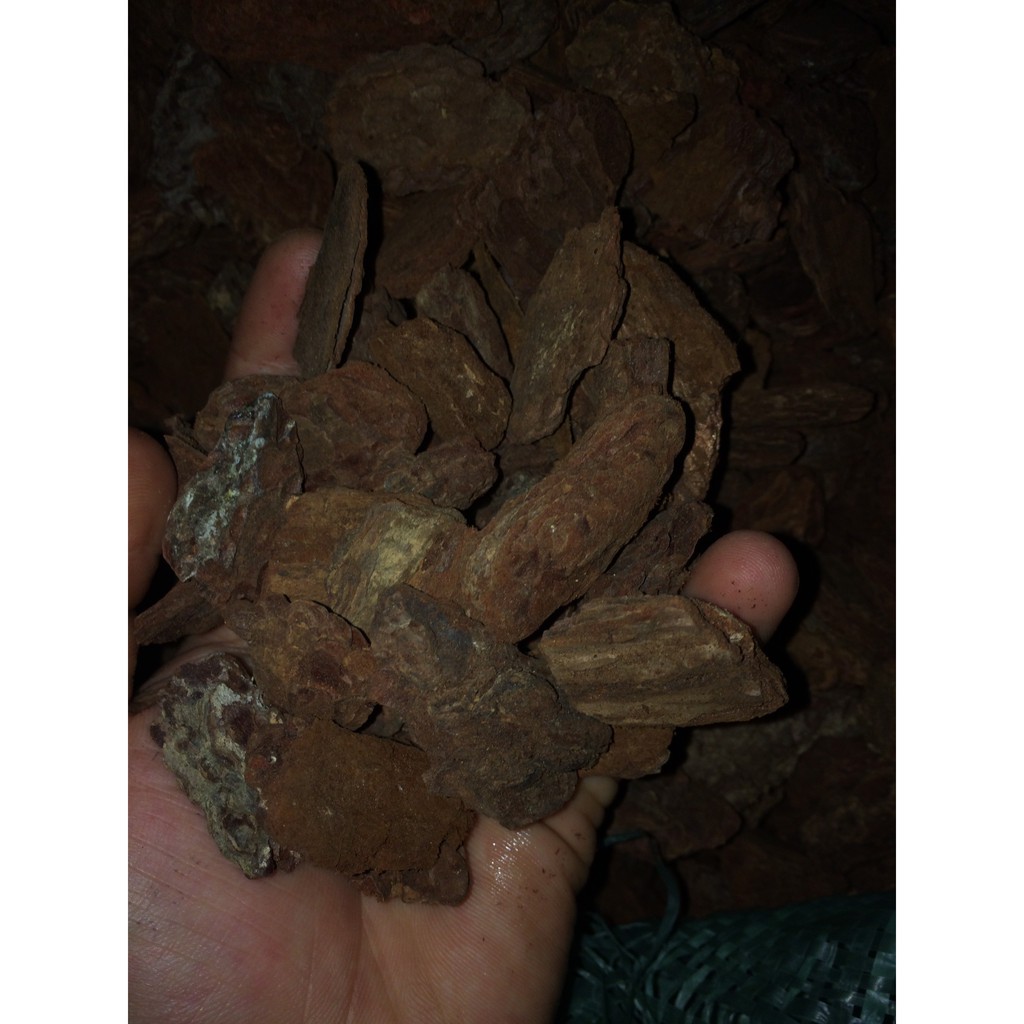 1kg vỏ thông xay trồng lan 1-3cm