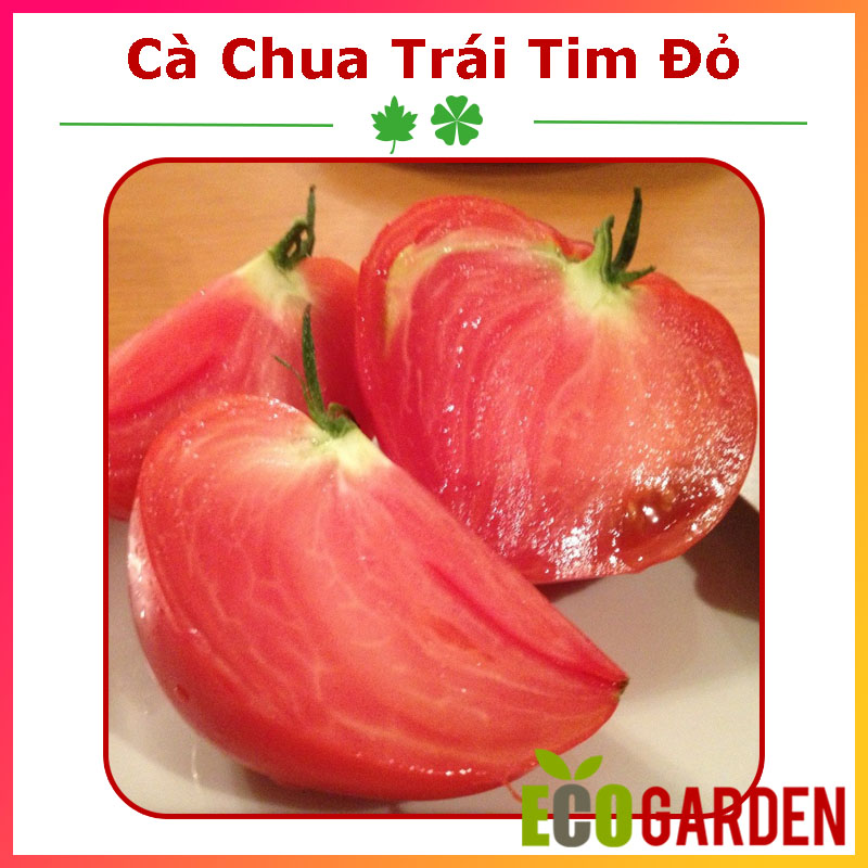 Hạt Giống Cà Chua Trái Tim Màu Đỏ (ECO.318)