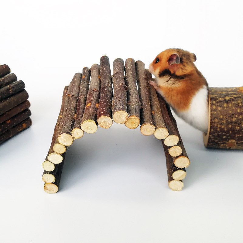 Thang gỗ các loại dành cho hamster / thỏ / bọ / sóc / fat tail/ ...- T3 PETS SHOP