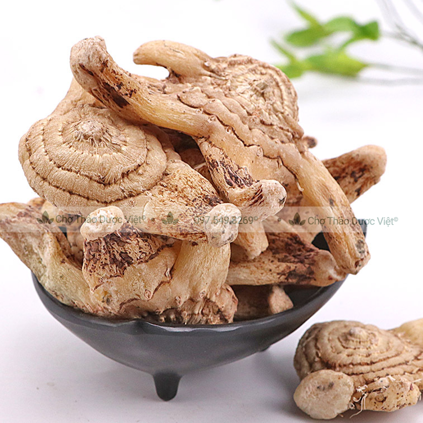 Bạch Cập 100g (Hàng Cao Cấp)