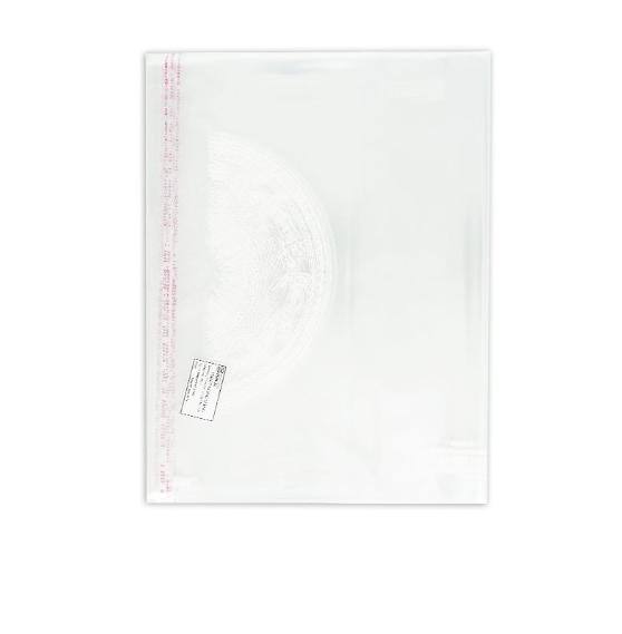 Bọc nylon A4 Hồng Hà (210x297mm) - 3389