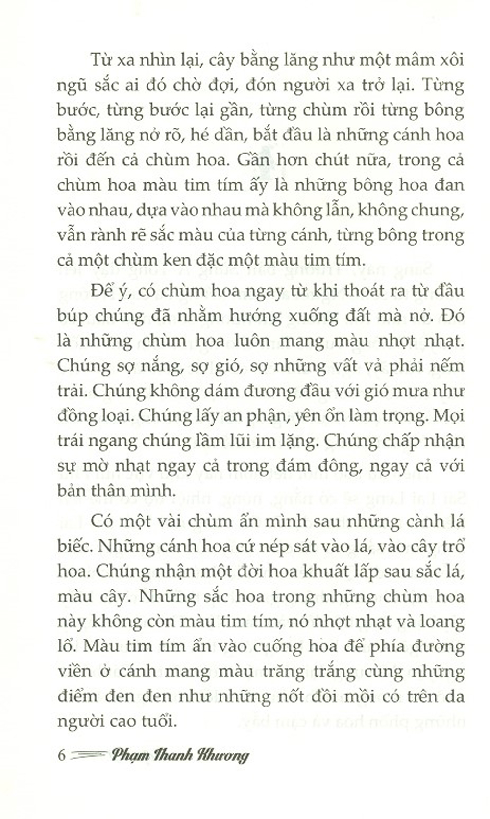 Giáp Mặt - Tiểu Thuyết