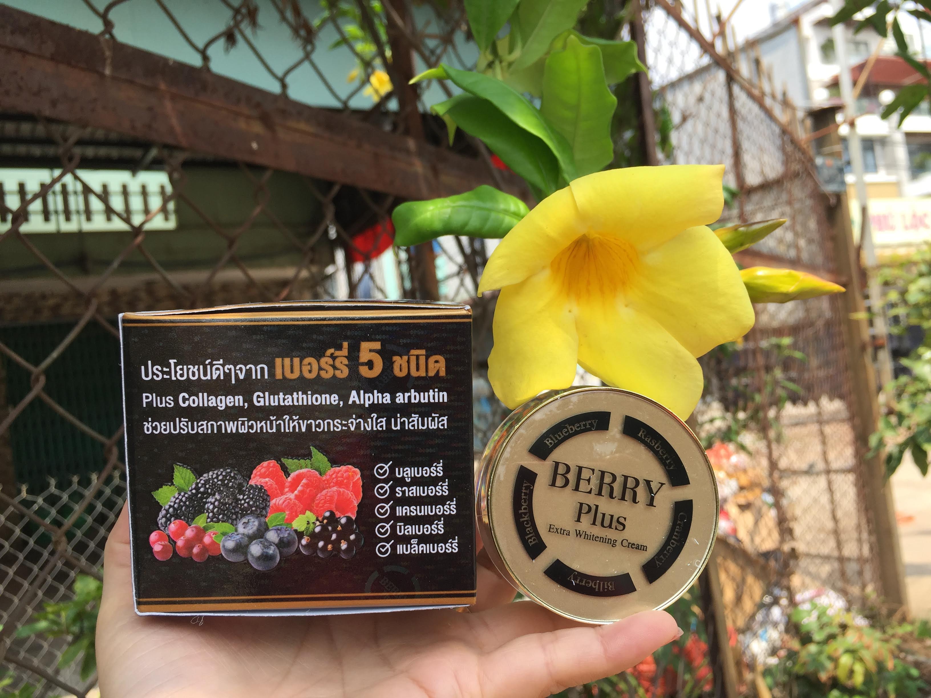 Kem ngăn nám, sạm da 4K BERRY Plus 20 gram