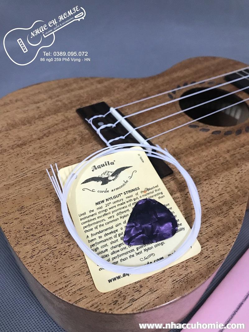 DÂY DỰ PHÒNG UKULELE AQUILA TẶNG KÈM PICK GẨY