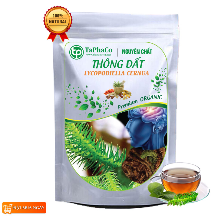 Cây thông đất khô 500g - Tấn Phát