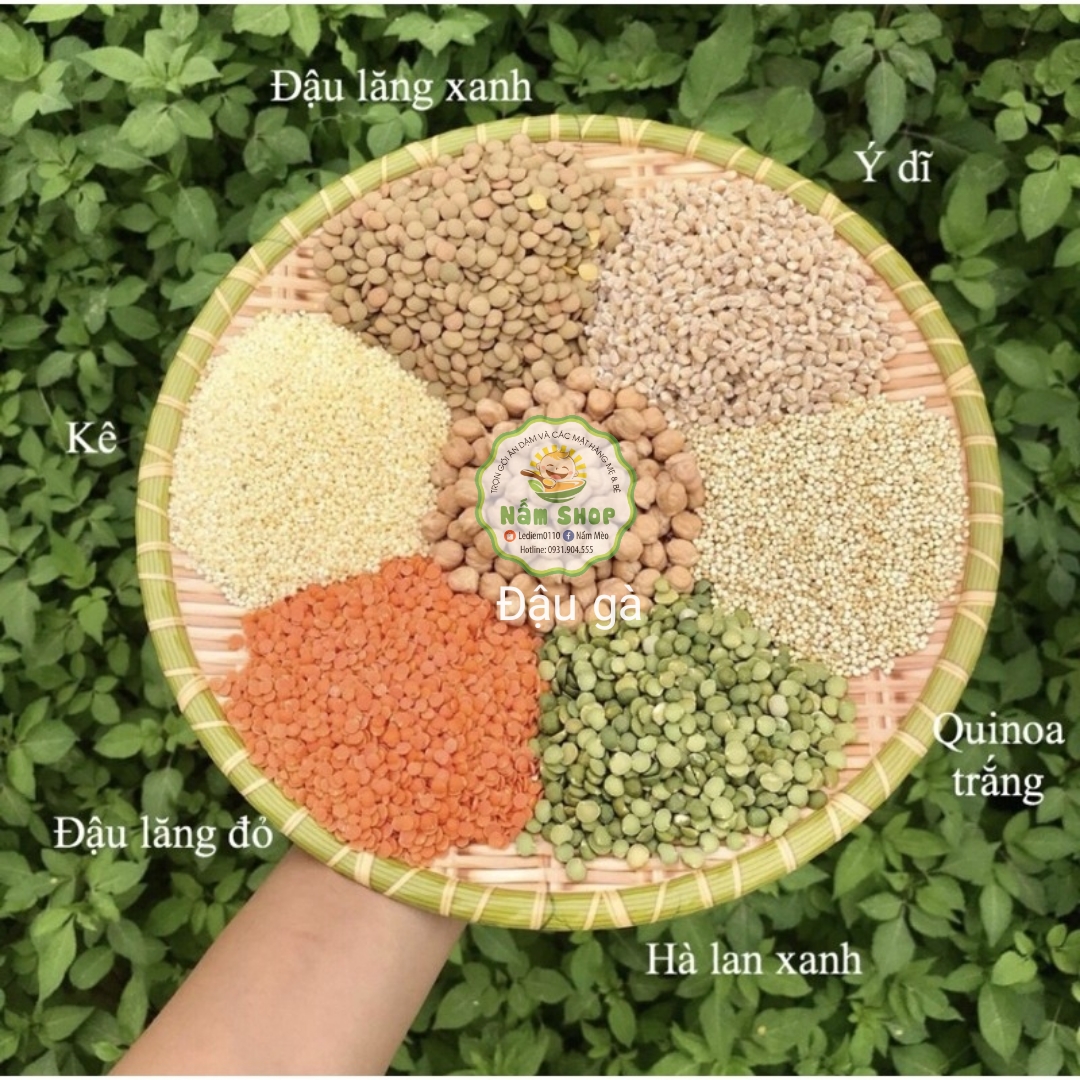 Đậu gà hữu cơ Davert 100g - 500g