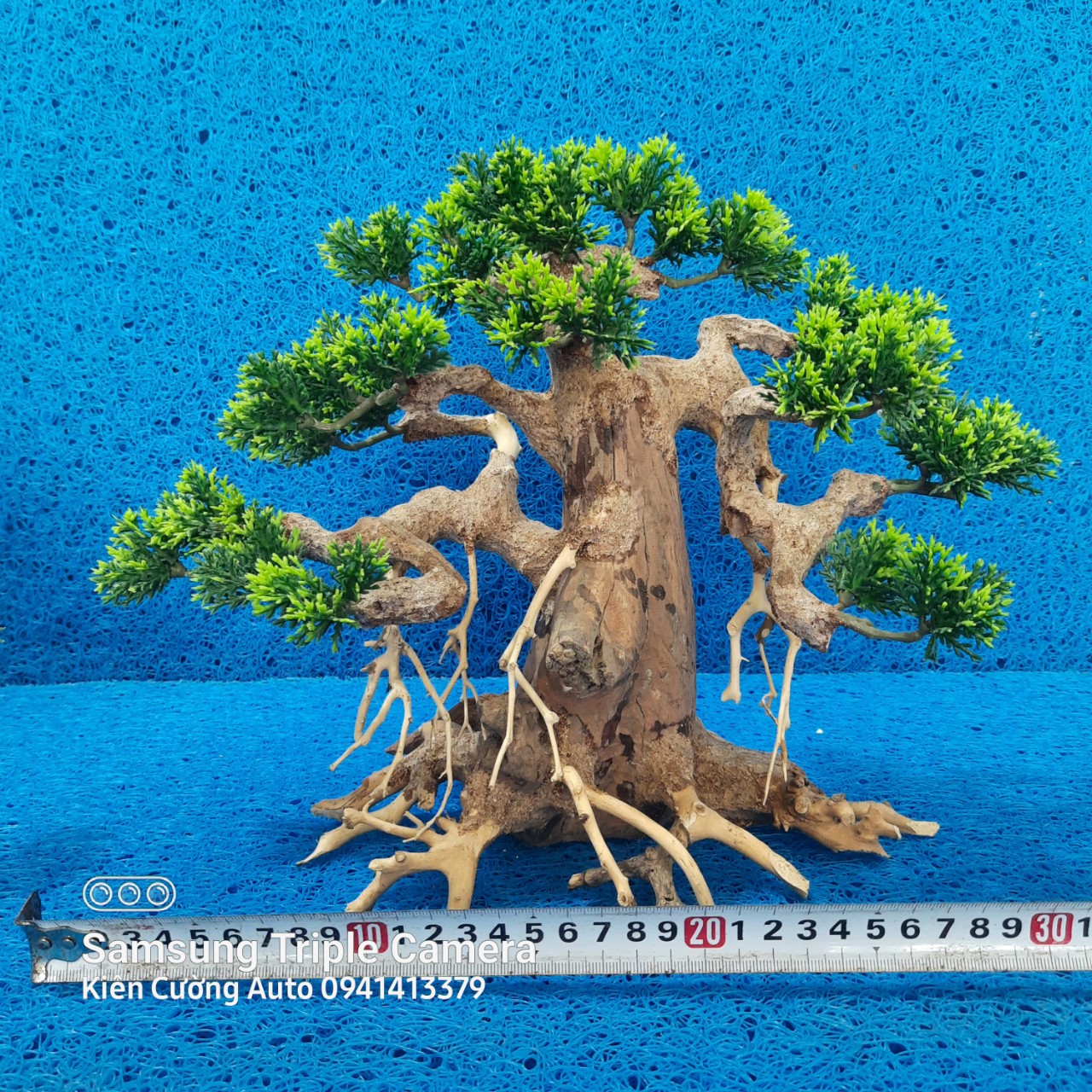 Mô hình Cây gỗ lũa thủy sinh Có tán lá dùng cho bể cá cảnh, Gỗ lũa các SIZE