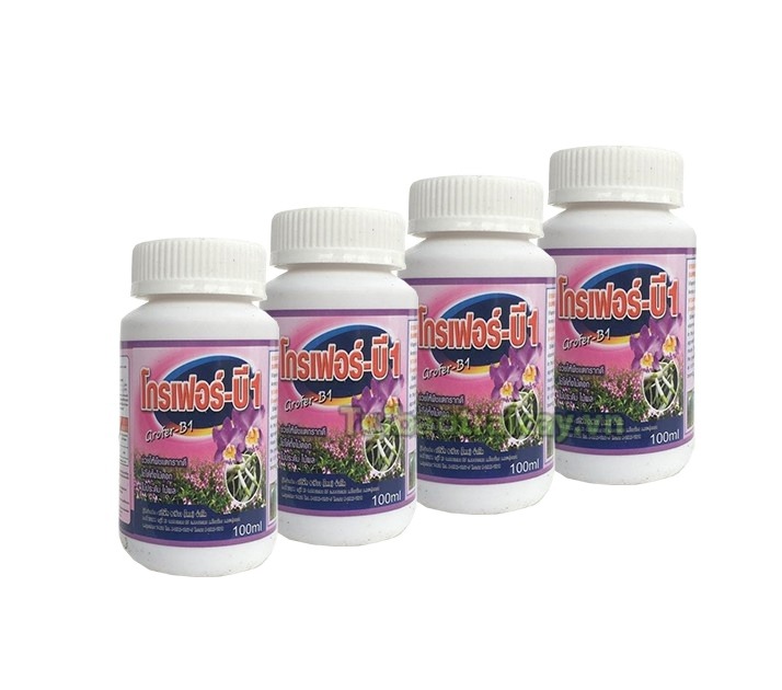 Phân bón lá Vitamin B1 Grofer,  Kích thích ra rễ mạnh.