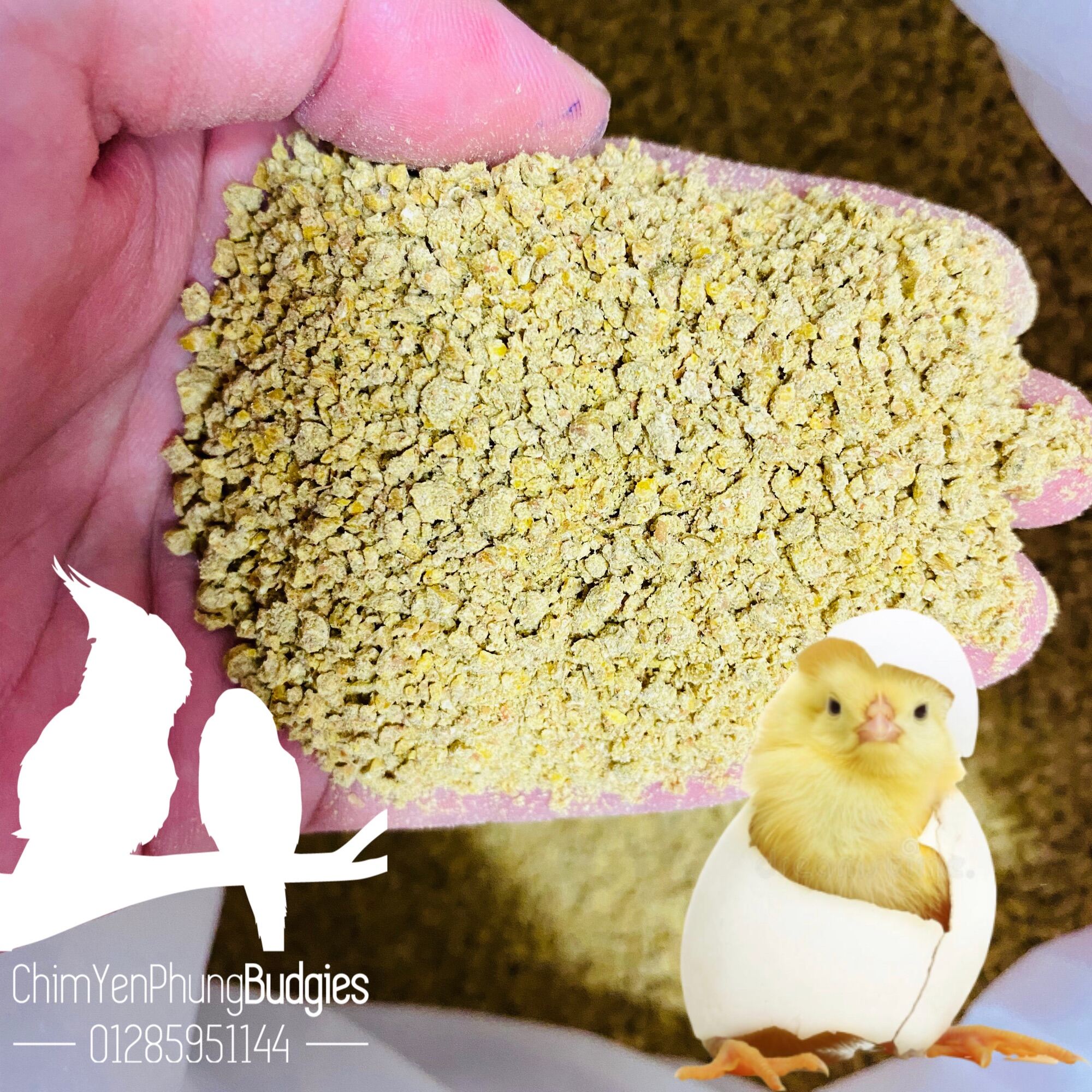 1kg Cám Bể Cho Gà Con Thanh Bình – Thức Ăn Hỗn Hợp Dinh Dưỡng Cao, Giúp Gà Phát Triển Tốt