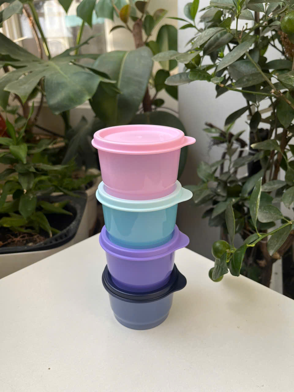 Bộ 04 hộp sữa chua Snack Cup 125ml Tupperware (01 hộp màu ngẫu nhiên)