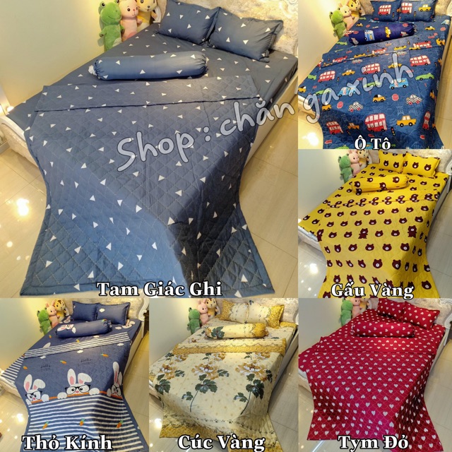 Set 5 Món Chăn Ga gối Poly Cotton ( được chọn mẫu )