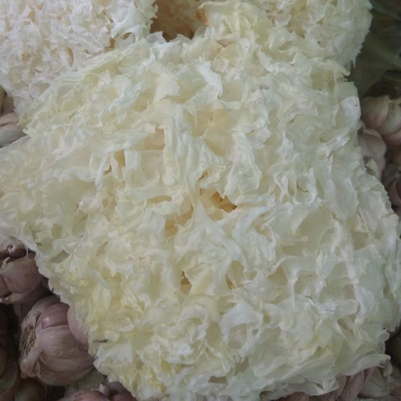 Nấm Tuyết Thượng Hạng 500g