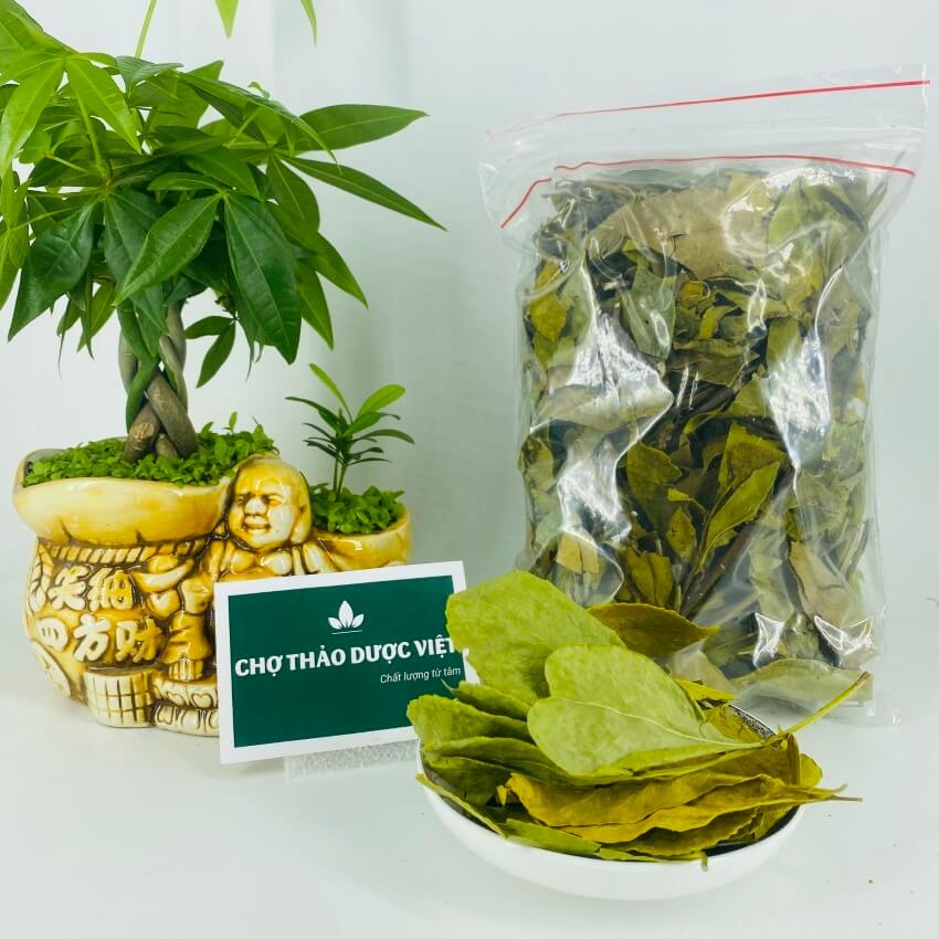 Chè dung khô 500g, hỗ trợ giảm đau dạ dày, đại tràng, tốt cho tiêu hóa - Chợ Thảo Dược Việt