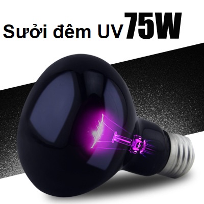 Đèn UVA sưởi đêm cho bò sát thương hiệu nomoy