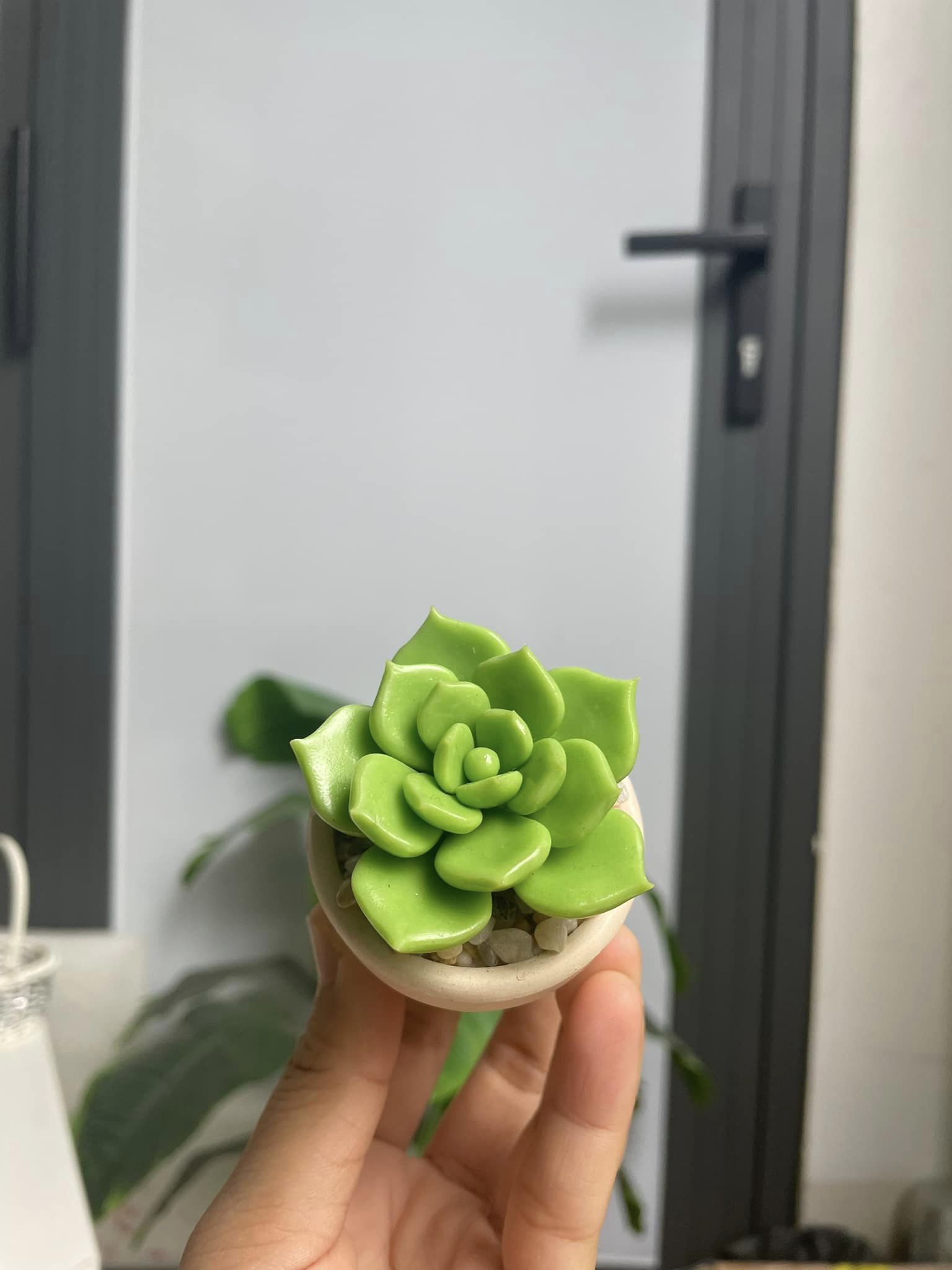 Chậu sen đá mini làm bằng đất sét đường kính 5cm