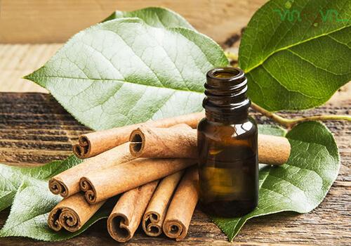 Tinh dầu Quế nguyên chất lọ 10ml