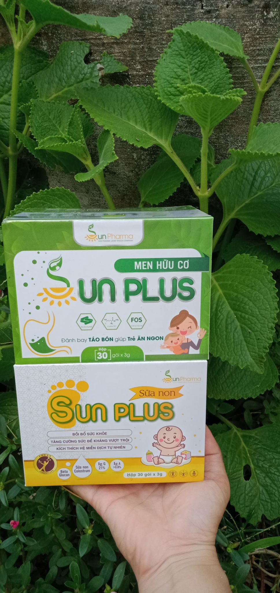 Men hữu cơ Sunplus