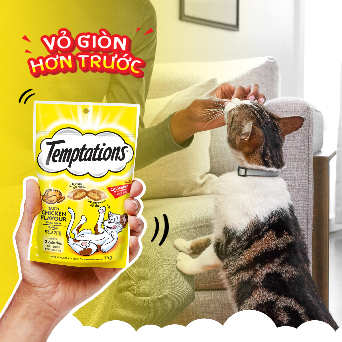 Temptations -  Bánh thưởng cho mèo