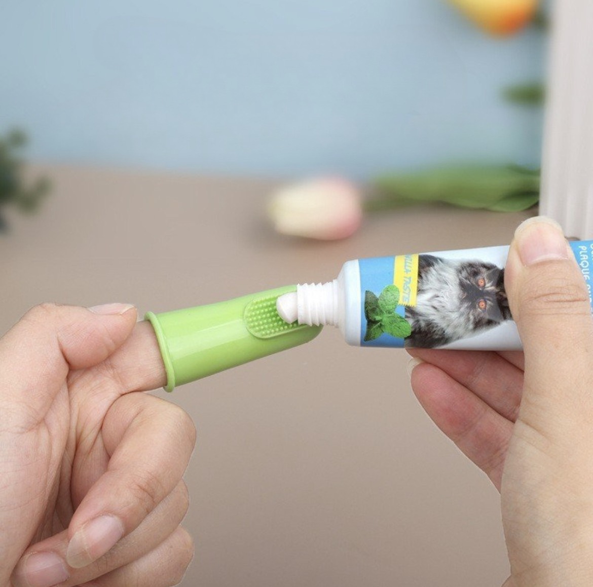 BỘ KEM ĐÁNH RĂNG CÙNG BÀN CHẢI CHO THÚ CƯNG, PHỤ KIỆN THÚ CƯNG