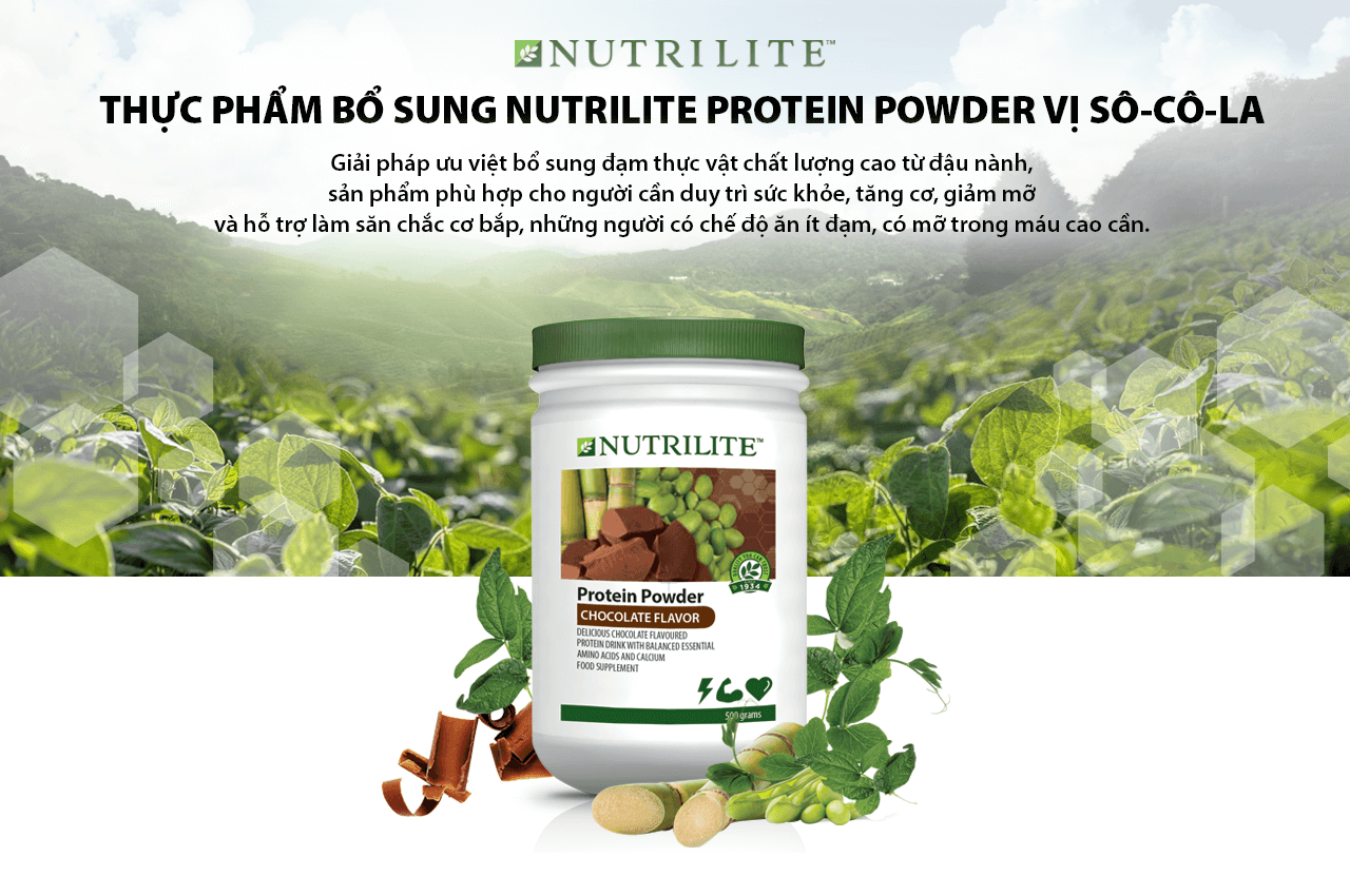 (752k) Away Chocolate Vegetable Protein Powder (500g)