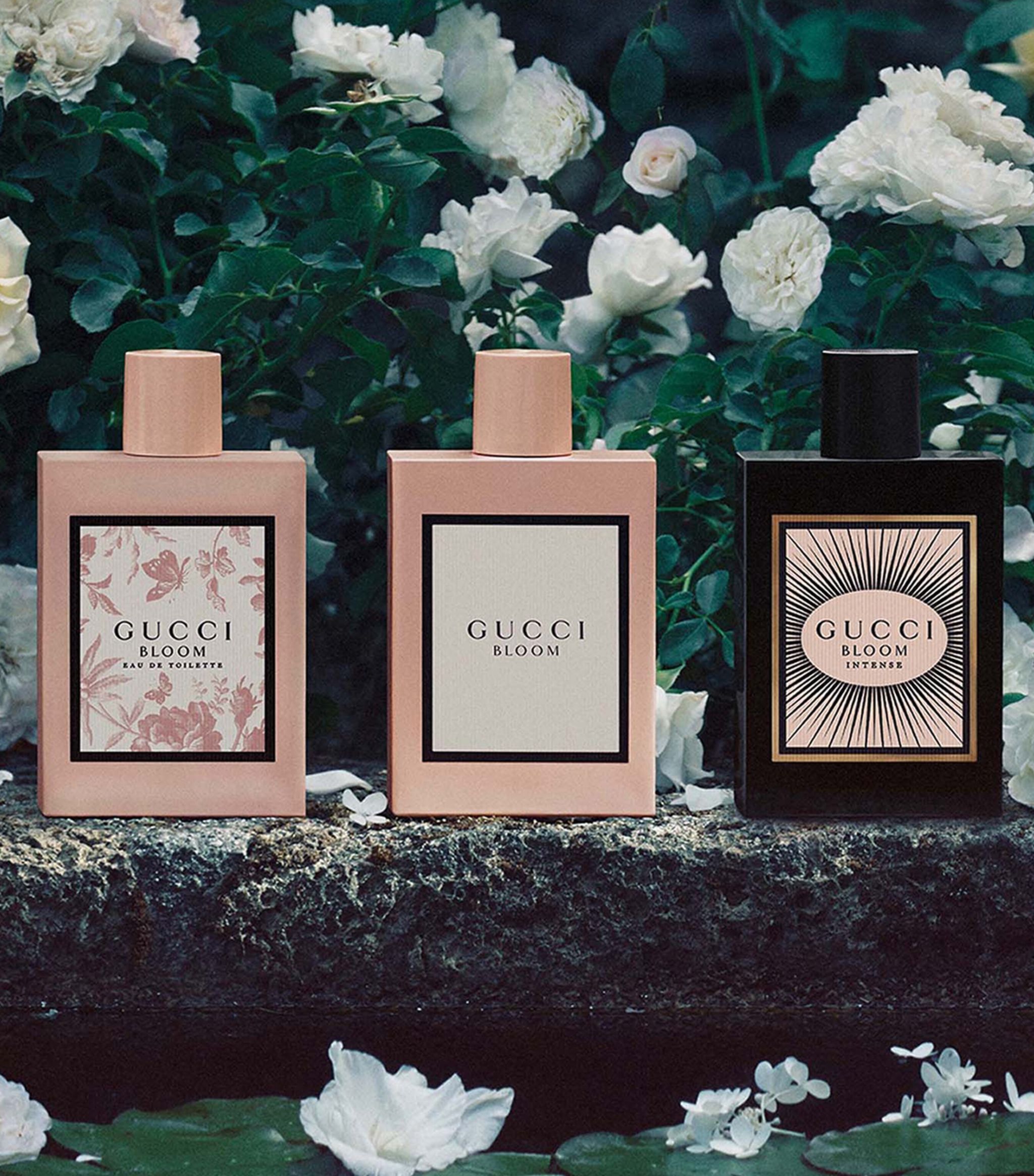 Nước hoa Gucci Bloom Intense EDP