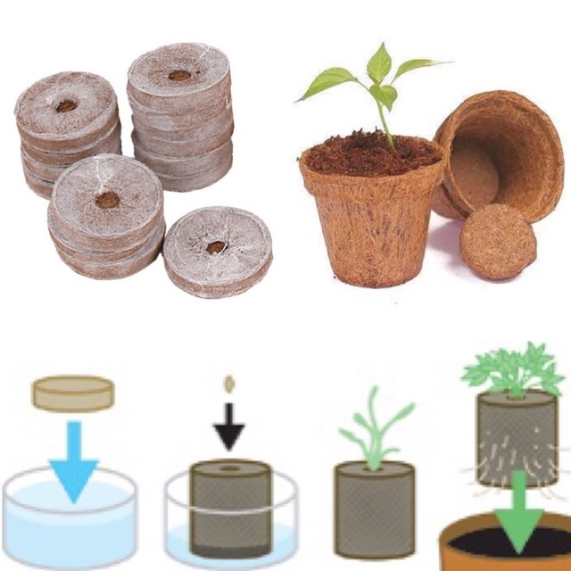 Set 10 viên nén xơ dừa, viên nén ươm hạt, trồng cây