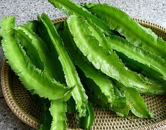 Hạt giống Đậu Rồng - Hạt giống đỗ khế