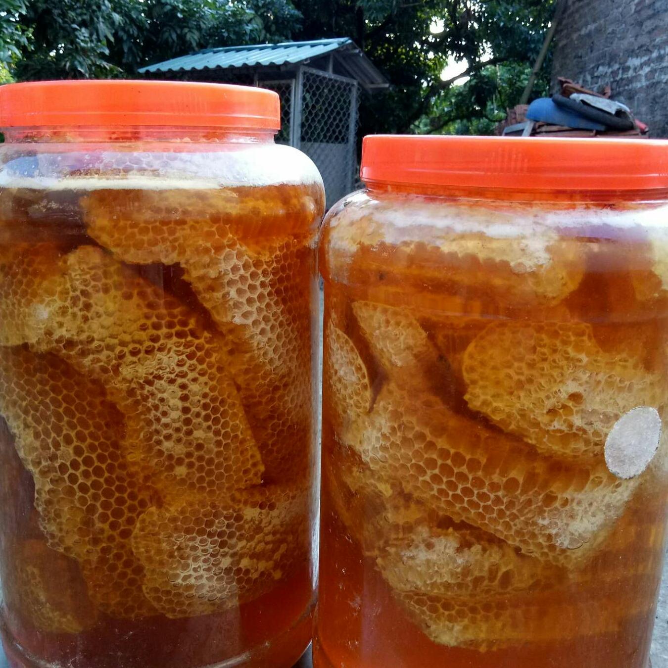 Mật ong rừng nguyên chất