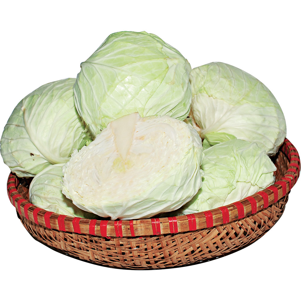 Bắp cải (1 bắp)~ 2kg