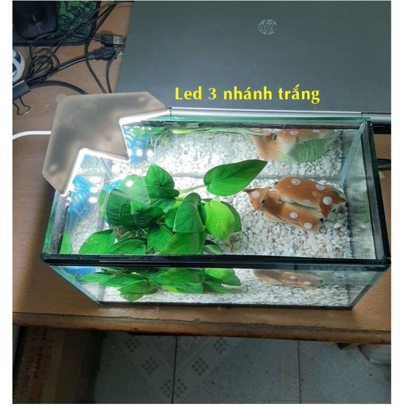 Đèn kẹp mini cánh hoa cho bể cá nhỏ, bể tròn
