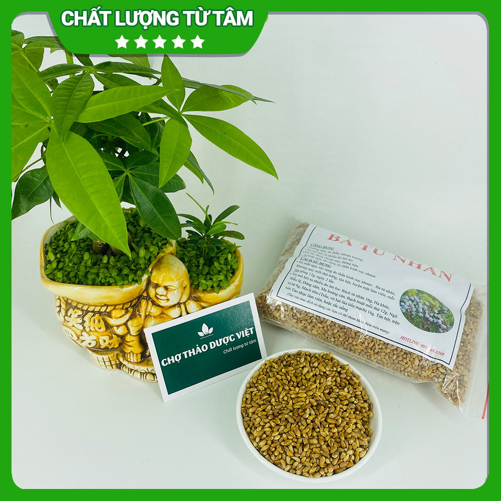 Dried Baizi Seeds 100g, Trac Bach Diep Seeds, Help Nourish the Mind, Calm the Mind, Sleep Well, and Support Digestion