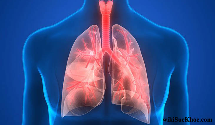 Thanh lọc Phổi Bioglan Lung Clear 180 viên
