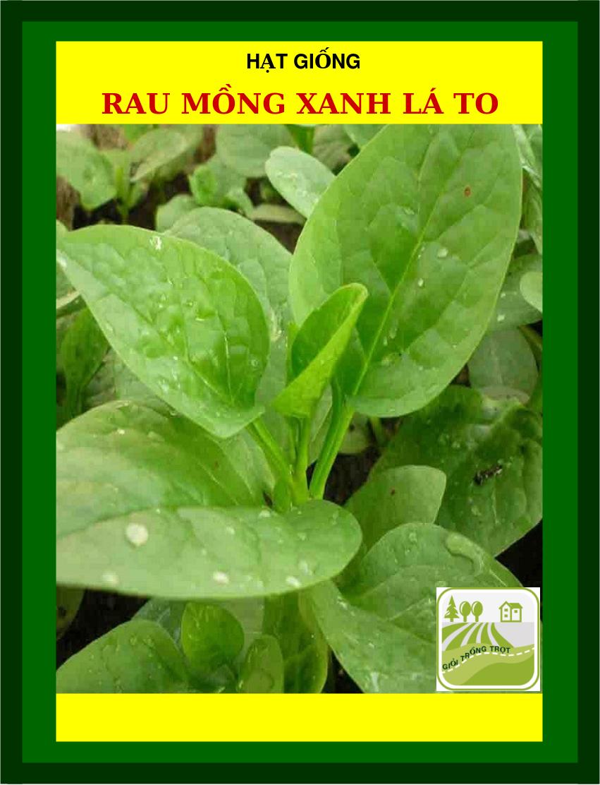 Hạt Mồng Tơi Đỏ, Xanh Lá To 50 Gram