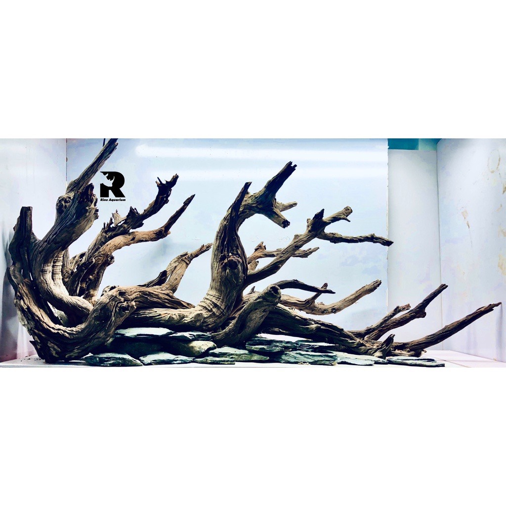 Lũa Săn Đá Cành Trang Trí, Thiết Kế Layout Bể Thủy Sinh Hàng Siêu Đẹp (1KG)