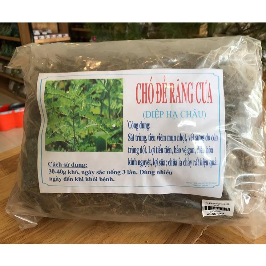 1kg chó đẻ răng cưa