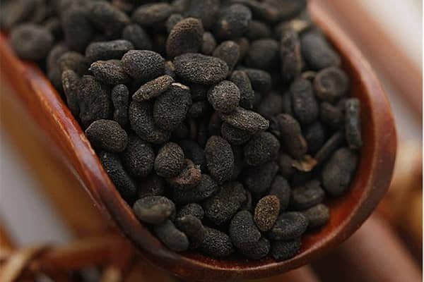 Phá Cố Chỉ [500g] - Cam kết hàng chuẩn loại 1