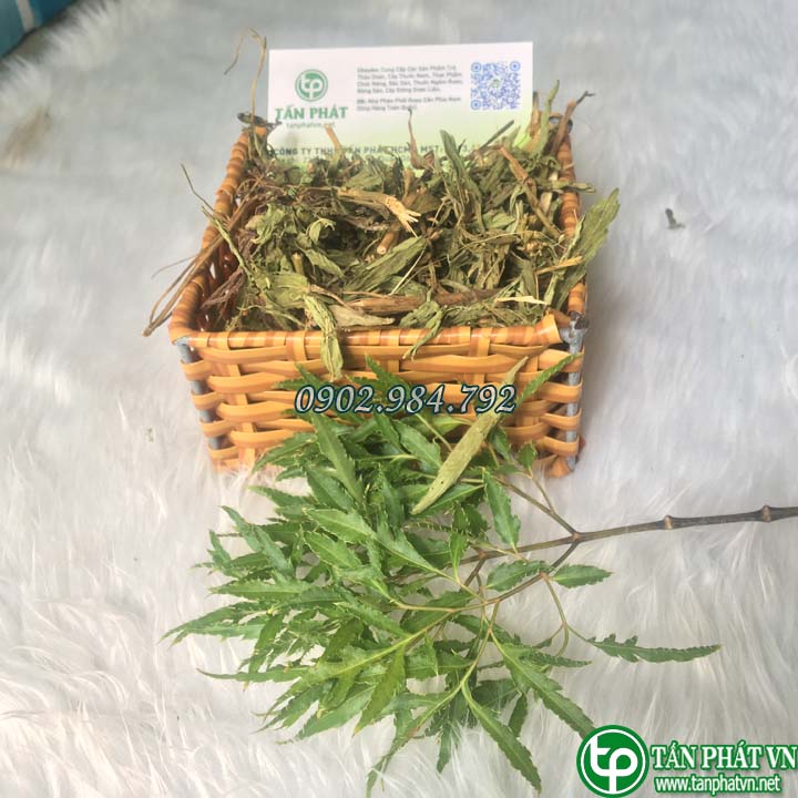 Lá cỏ ngọt sấy khô hàng sạch thơm cao cấp - Túi lớn loại 1kg giá rẻ - Thảo Dược Taphaco