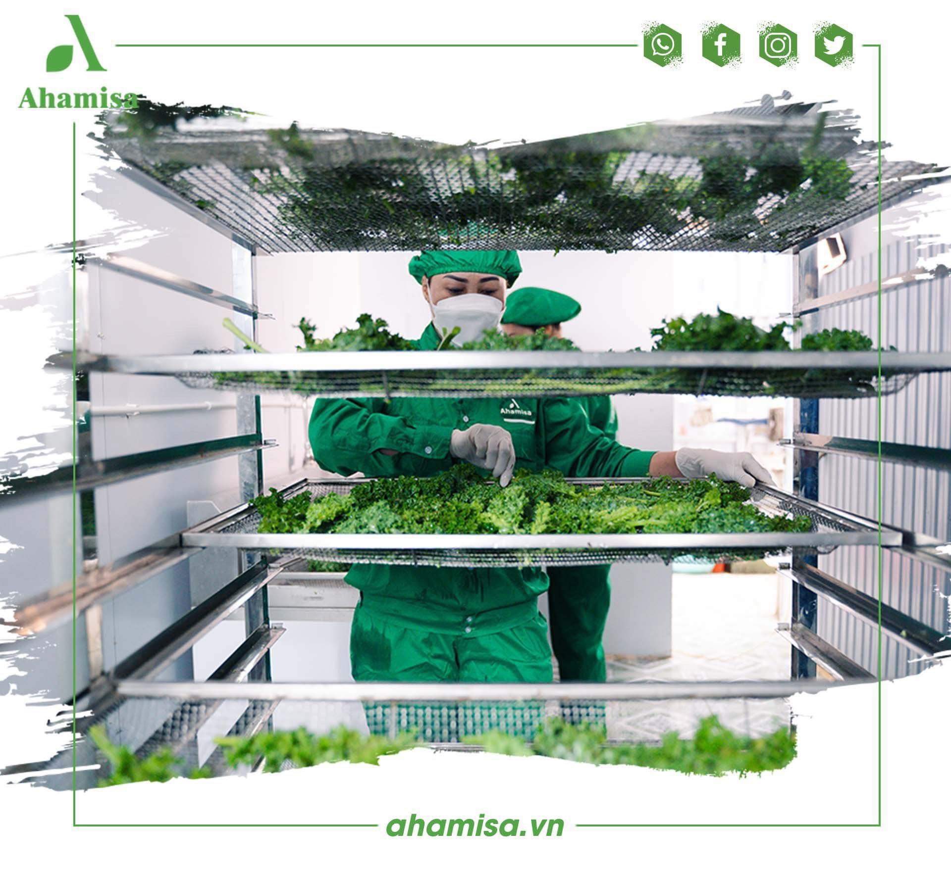[Có sẵn] Mì Rau Củ Sạch Củ Dền 240g Ahamisa