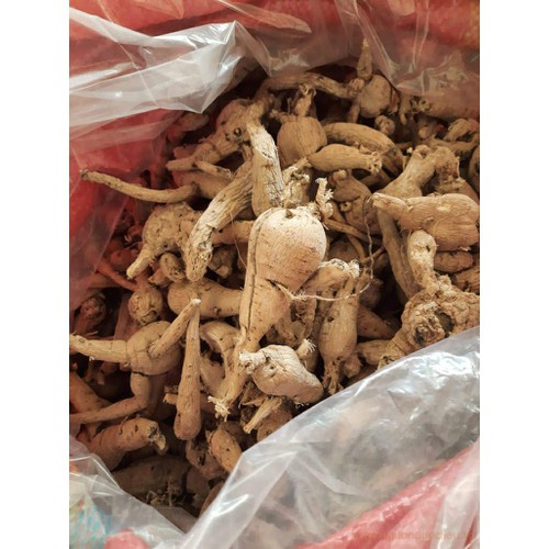 Sâm Bố Chính Khô