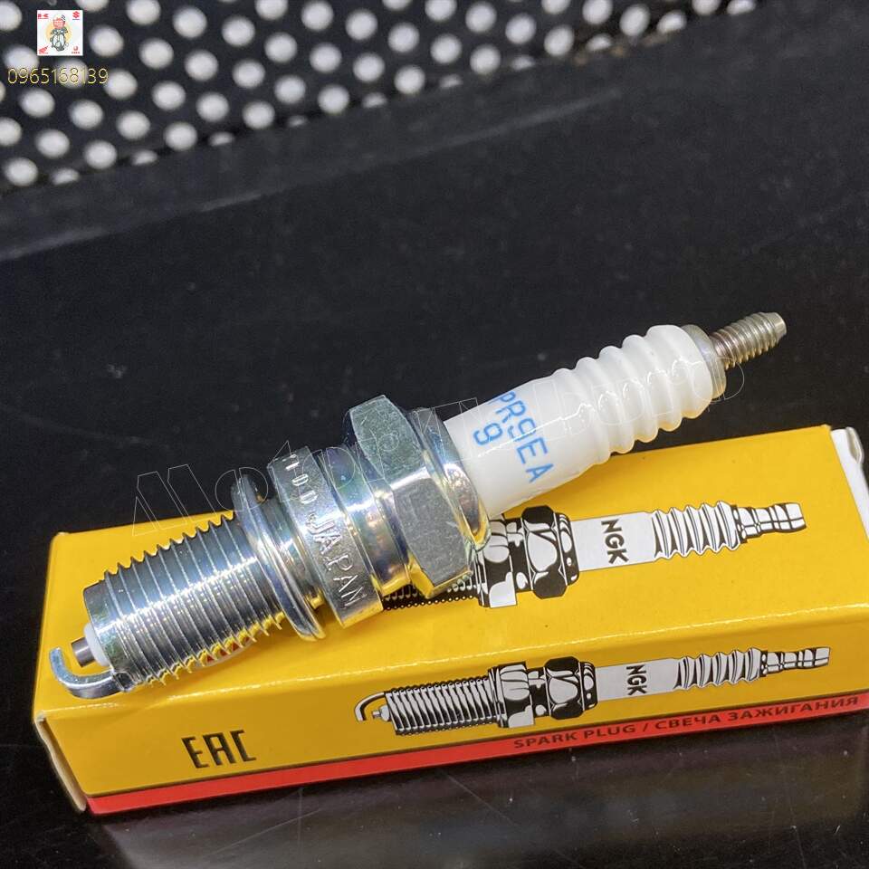 [HCM]Bugi NGK Standard DPR9EA-9